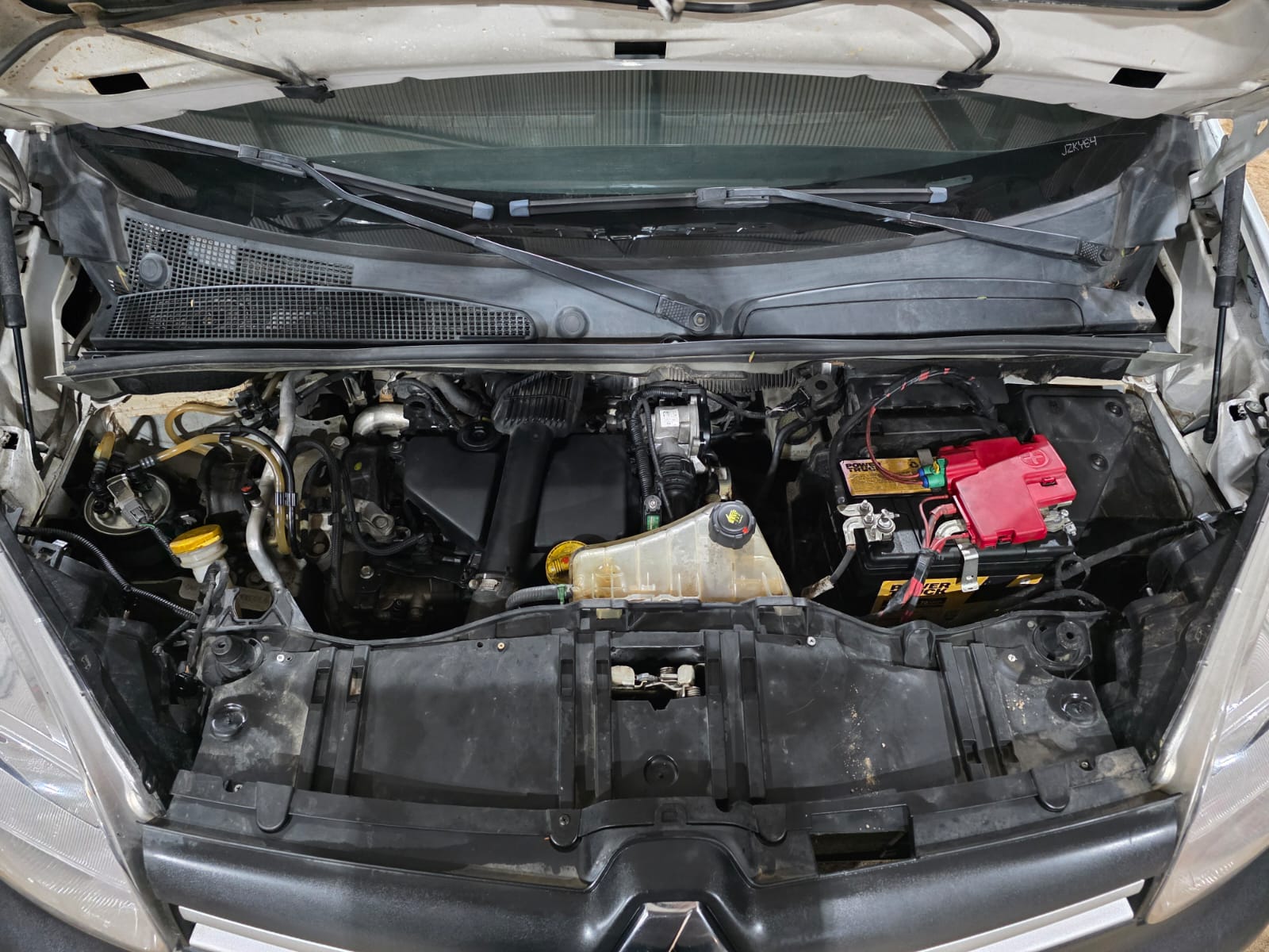 WhatsApp Image 2025-11-03 at 8.12.55 AM (2)