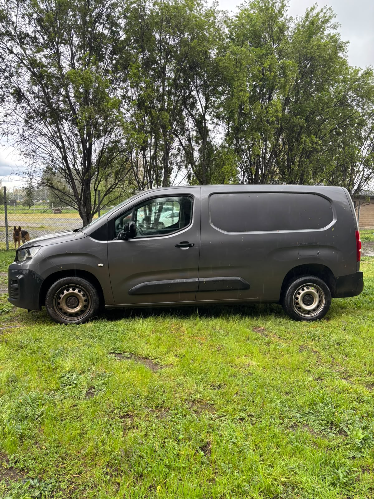 Garantía Única y Exclusiva Exigida Para Furgón Peugeot - Imagen 3