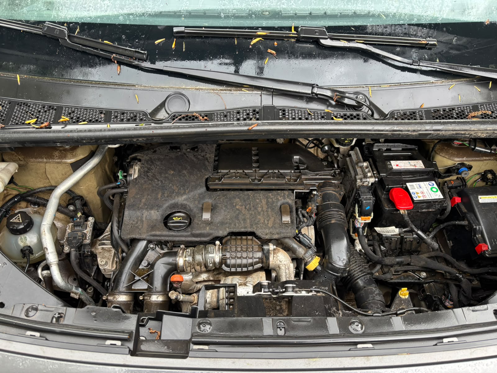 Garantía Única y Exclusiva Exigida Para Furgón Peugeot - Imagen 10